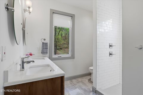 Tiny photo for 233 Gap Cove Rd, Maryville, TN 37803 (MLS # 1336129)