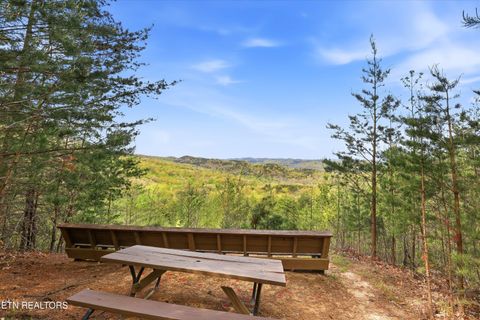 Tiny photo for 233 Gap Cove Rd, Maryville, TN 37803 (MLS # 1336129)