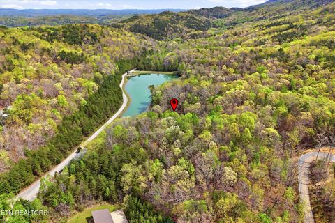 Tiny photo for 233 Gap Cove Rd, Maryville, TN 37803 (MLS # 1336129)