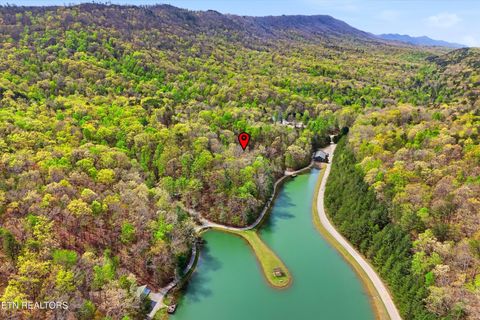 Tiny photo for 233 Gap Cove Rd, Maryville, TN 37803 (MLS # 1336129)
