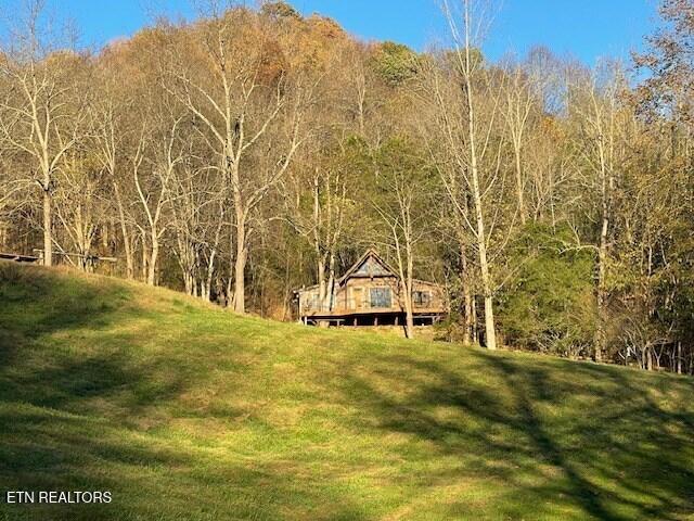 360 Spurlock Hollow Lane