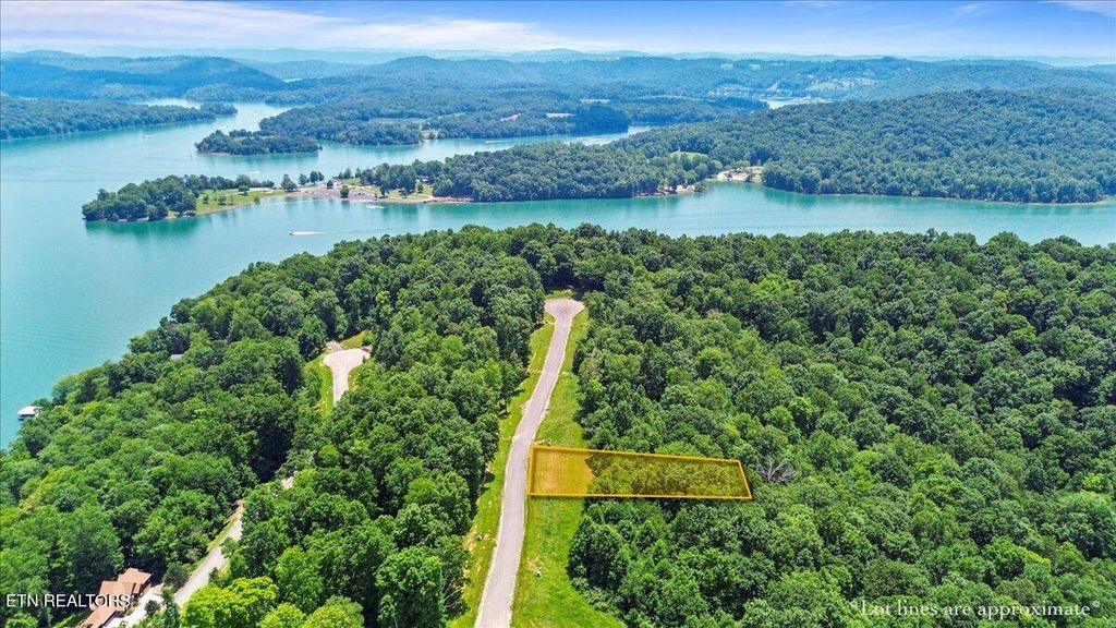 Photo of 565 S Two Rivers Lane, LaFollette, TN 37766 (MLS # 1306069)