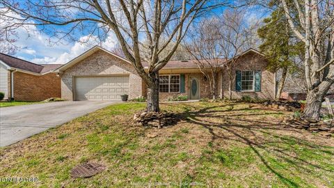 Photo of 7133 Alice Springs Lane, Corryton, TN 37721 (MLS # 1332332)