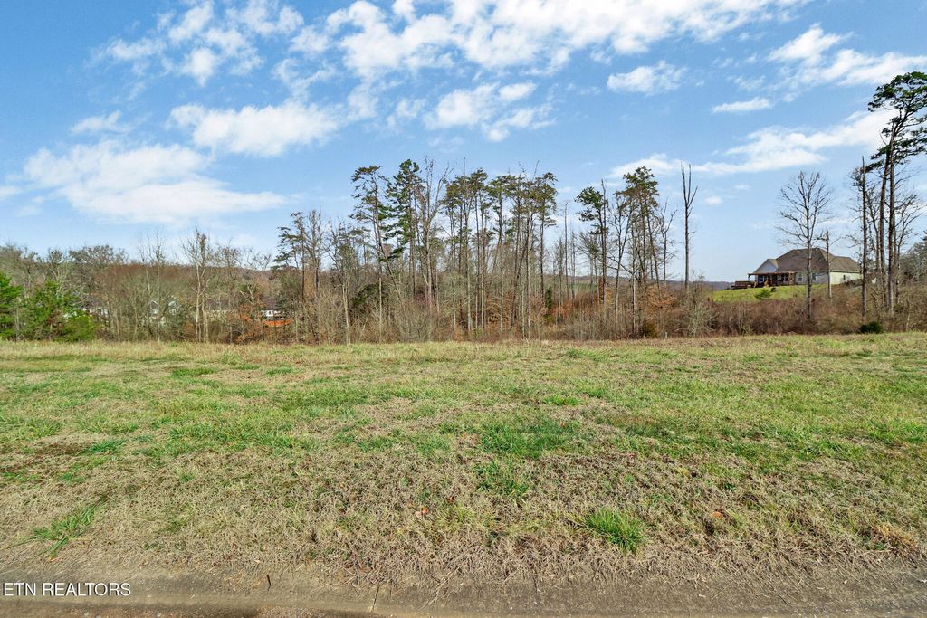Photo of 112 Willow Oak Drive, Oak Ridge, TN 37830 (MLS # 1332315)