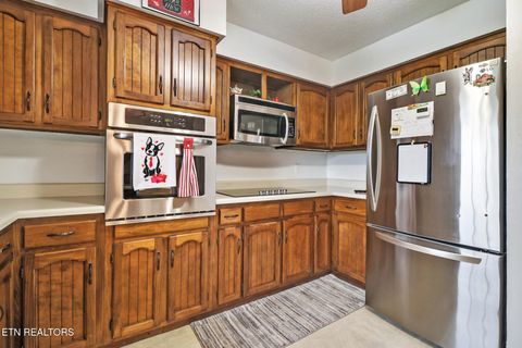 Tiny photo for 1036 Pigeon Ridge Rd, Crossville, TN 38555 (MLS # 1320371)