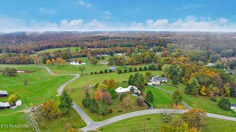 Tiny photo for 1036 Pigeon Ridge Rd, Crossville, TN 38555 (MLS # 1320371)