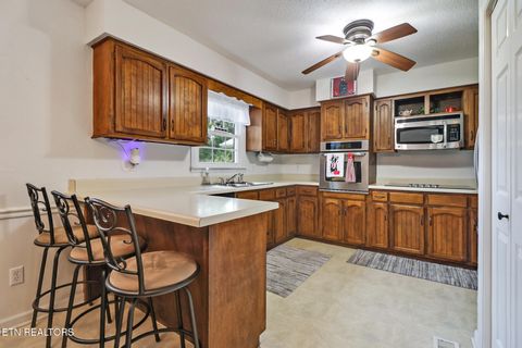 Tiny photo for 1036 Pigeon Ridge Rd, Crossville, TN 38555 (MLS # 1320371)