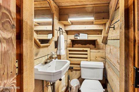 Tiny photo for 260 Black Mash Hollow Rd, Townsend, TN 37882 (MLS # 1326849)