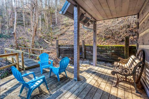 Tiny photo for 260 Black Mash Hollow Rd, Townsend, TN 37882 (MLS # 1326849)