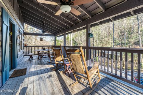 Tiny photo for 260 Black Mash Hollow Rd, Townsend, TN 37882 (MLS # 1326849)