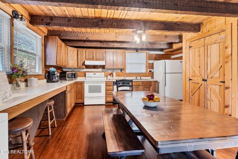 Tiny photo for 260 Black Mash Hollow Rd, Townsend, TN 37882 (MLS # 1326849)