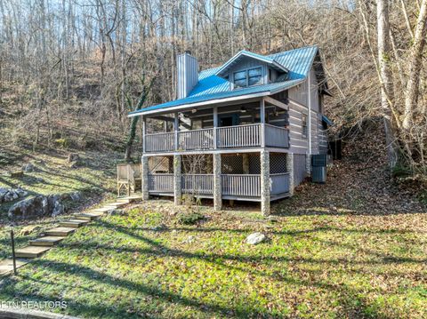 Tiny photo for 260 Black Mash Hollow Rd, Townsend, TN 37882 (MLS # 1326849)