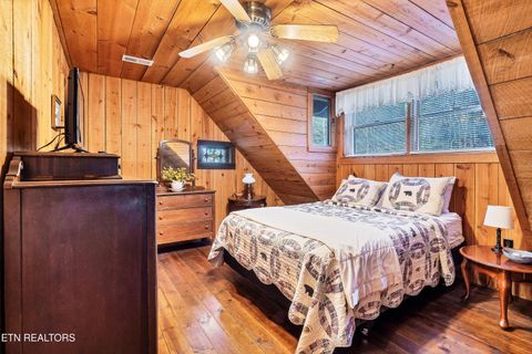 Tiny photo for 260 Black Mash Hollow Rd, Townsend, TN 37882 (MLS # 1326849)