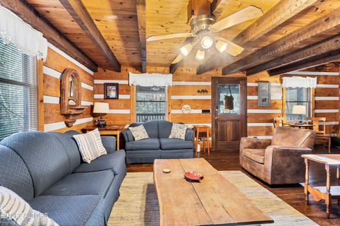 Tiny photo for 260 Black Mash Hollow Rd, Townsend, TN 37882 (MLS # 1326849)