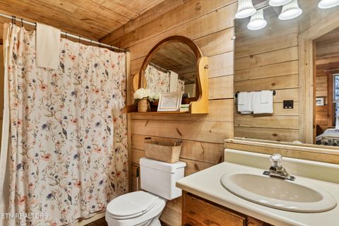 Tiny photo for 260 Black Mash Hollow Rd, Townsend, TN 37882 (MLS # 1326849)