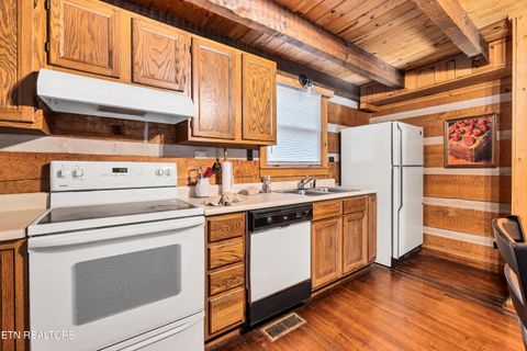 Tiny photo for 260 Black Mash Hollow Rd, Townsend, TN 37882 (MLS # 1326849)