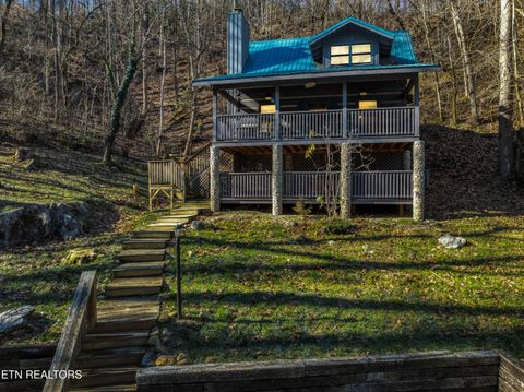 Tiny photo for 260 Black Mash Hollow Rd, Townsend, TN 37882 (MLS # 1326849)