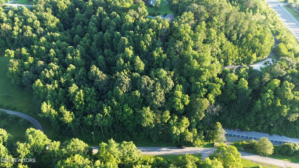 Photo of 88 Ashley Lane, Dayton, TN 37321 (MLS # 1309976)