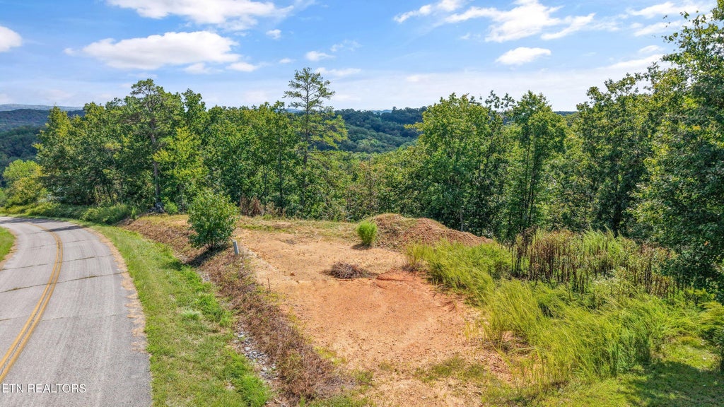 Photo of 108 Flint Ridge Rd, Rockwood, TN 37854 (MLS # 1357182)