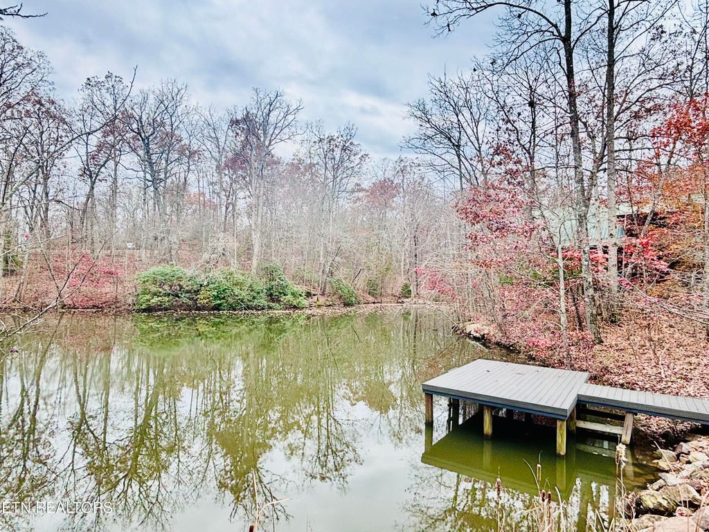 Photo of 1260 Davidson Drive, Monterey, TN 38574 (MLS # 1322130)