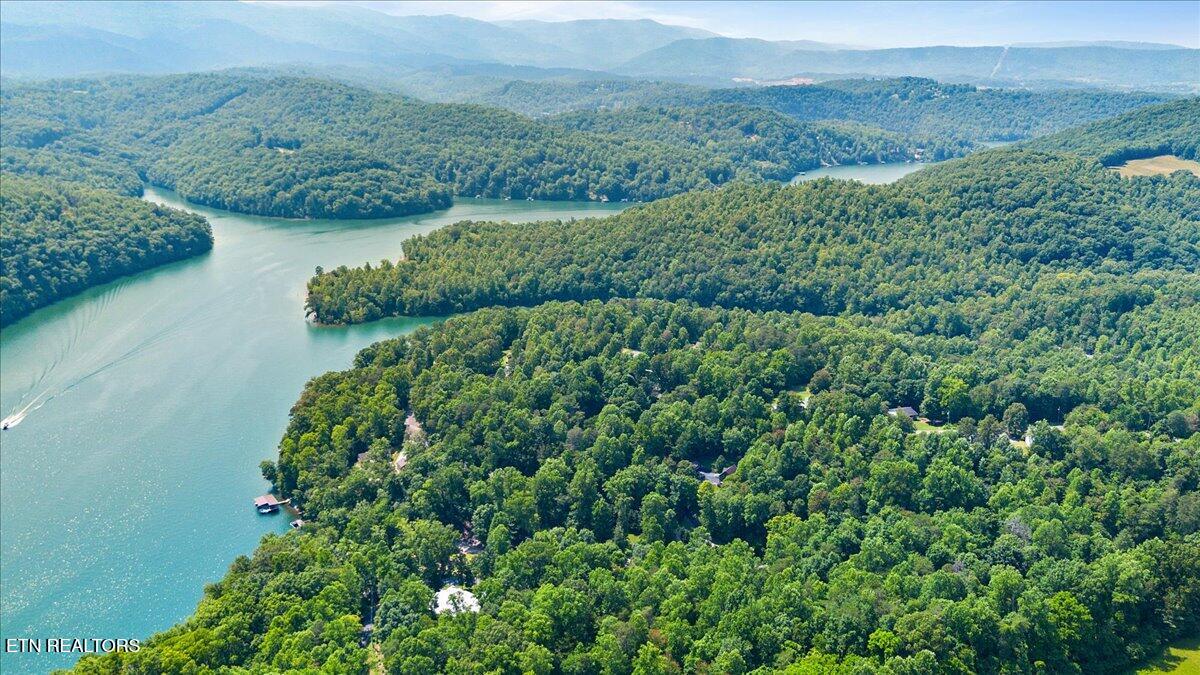 Hiwassee Drive