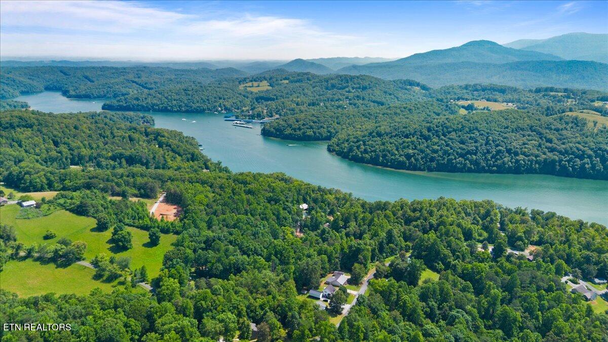 Hiwassee Drive
