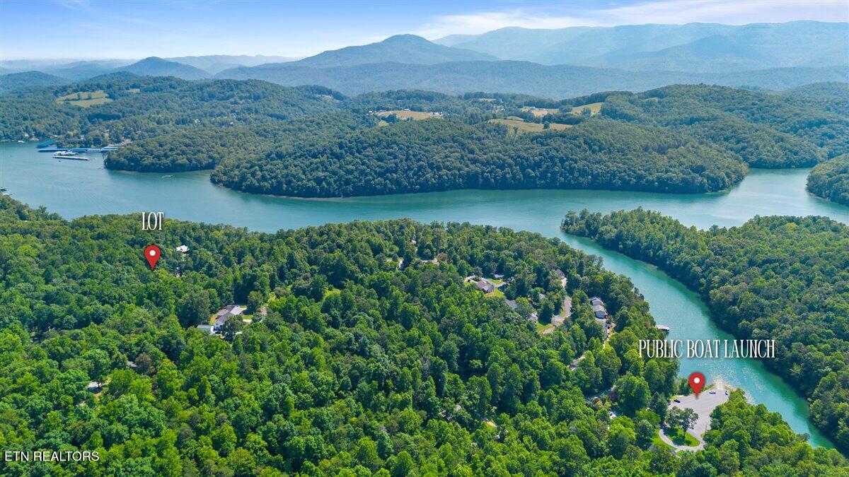 Hiwassee Drive