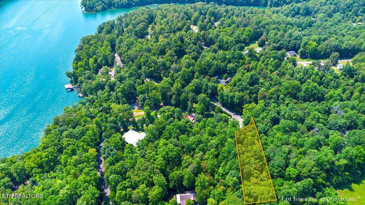 Hiwassee Drive