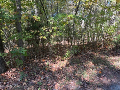 Photo of 222 Jade Lane, New Tazewell, TN 37825 (MLS # 1359698)