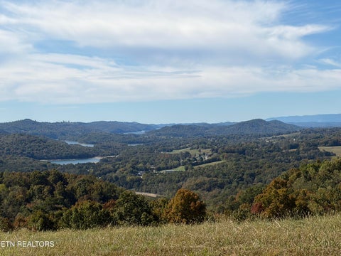 Tiny photo for 222 Jade Lane, New Tazewell, TN 37825 (MLS # 1359698)