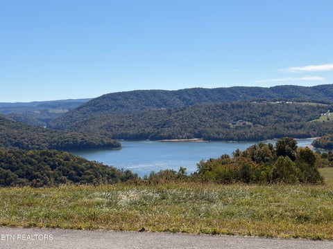 Tiny photo for 222 Jade Lane, New Tazewell, TN 37825 (MLS # 1359698)