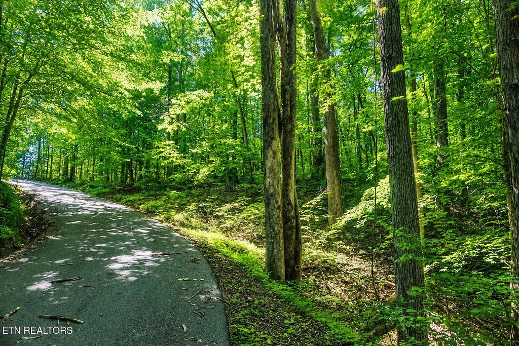 Photo of 0 Dudley Drive, Sevierville, TN 37876 (MLS # 1345286)