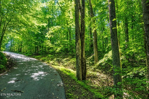 Photo of 0 Dudley Drive, Sevierville, TN 37876 (MLS # 1345286)