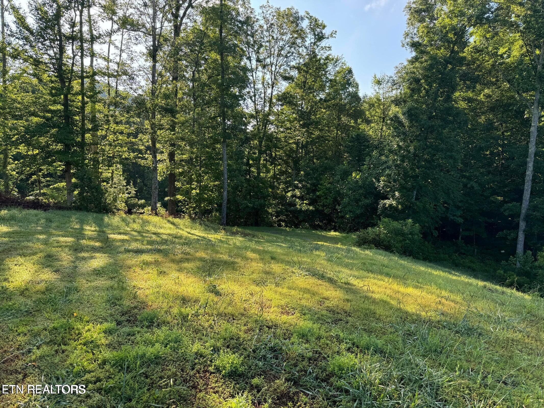 330 N Dark Hollow Rd