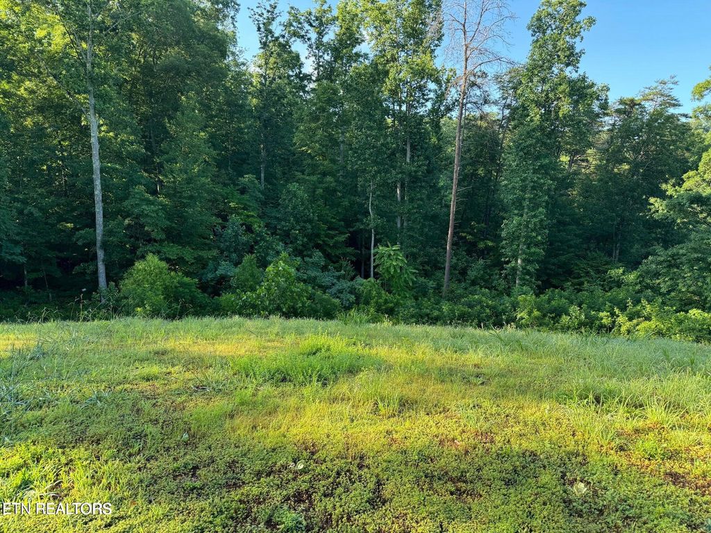 Photo of 330 N Dark Hollow Rd, Andersonville, TN 37705 (MLS # 1319125)