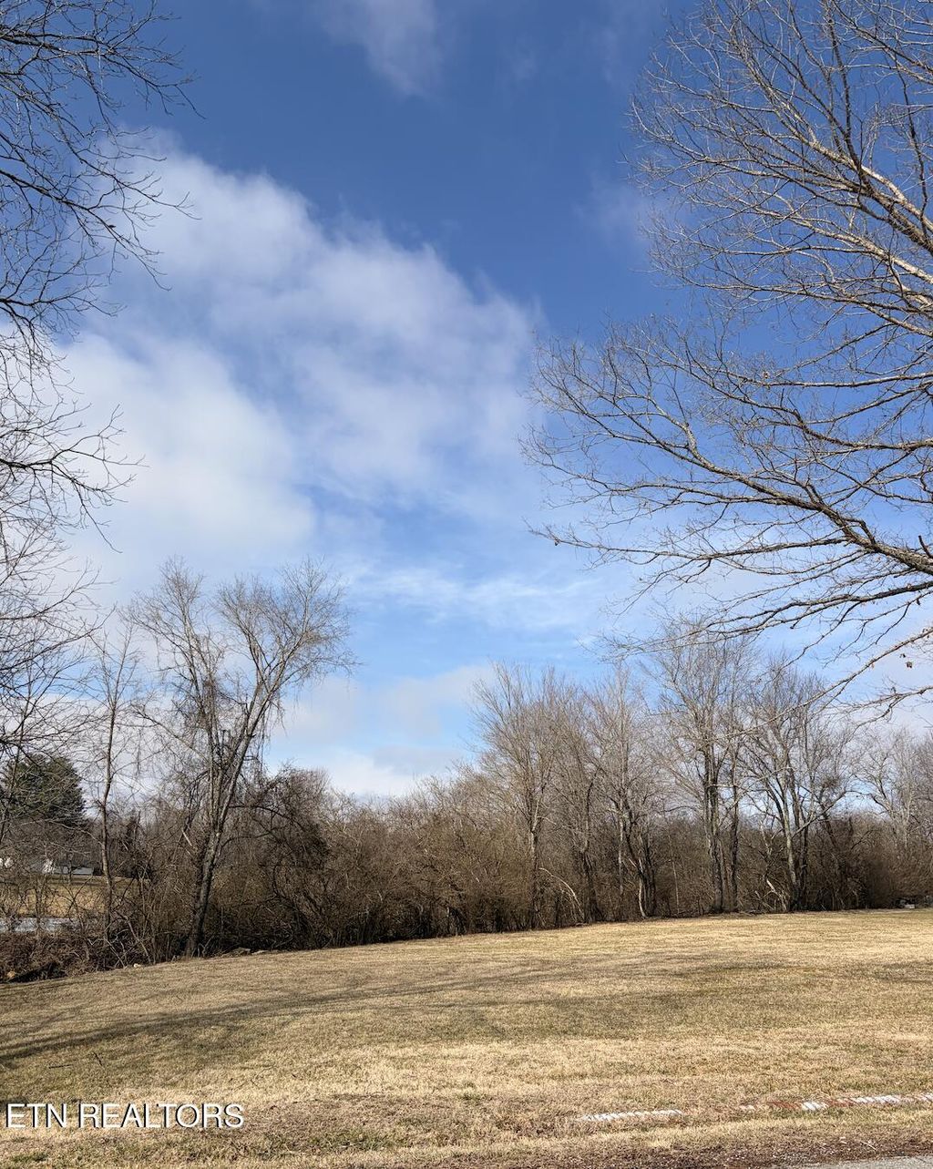 Photo of 65 Dorton Access Rd, Crossville, TN 38555 (MLS # 1328839)