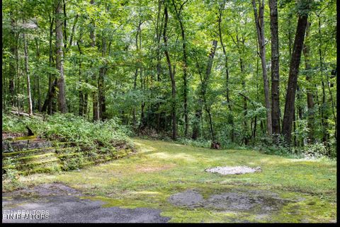 Tiny photo for 106 Disston Rd, Oak Ridge, TN 37830 (MLS # 1334866)