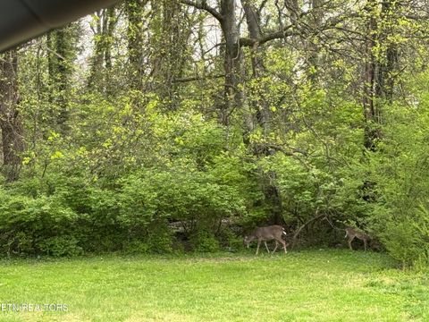 Tiny photo for 106 Disston Rd, Oak Ridge, TN 37830 (MLS # 1334866)