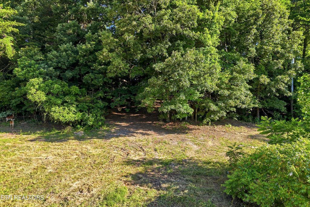 Photo of 0 Daniels Rd, Knoxville, TN 37938 (MLS # 1343996)