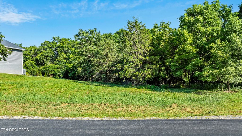 Photo of 173 Itawa Tr, Vonore, TN 37885 (MLS # 1308497)