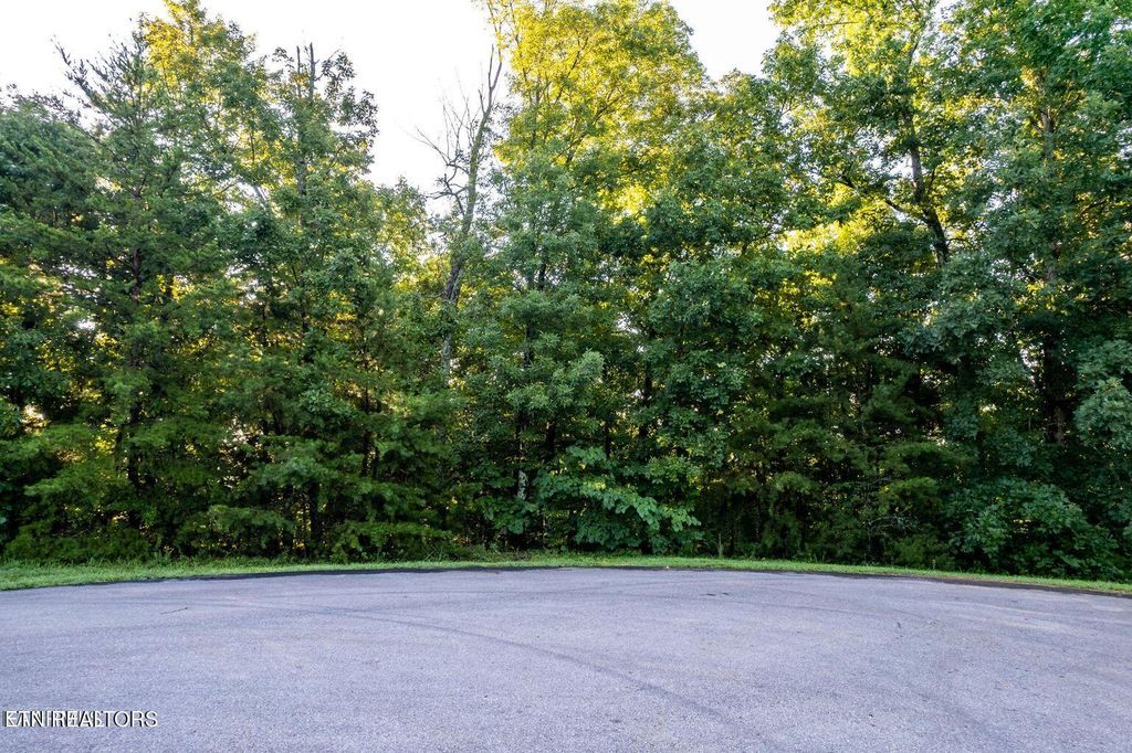 Photo of 104 Ultra Way, Friendsville, TN 37737 (MLS # 1308476)