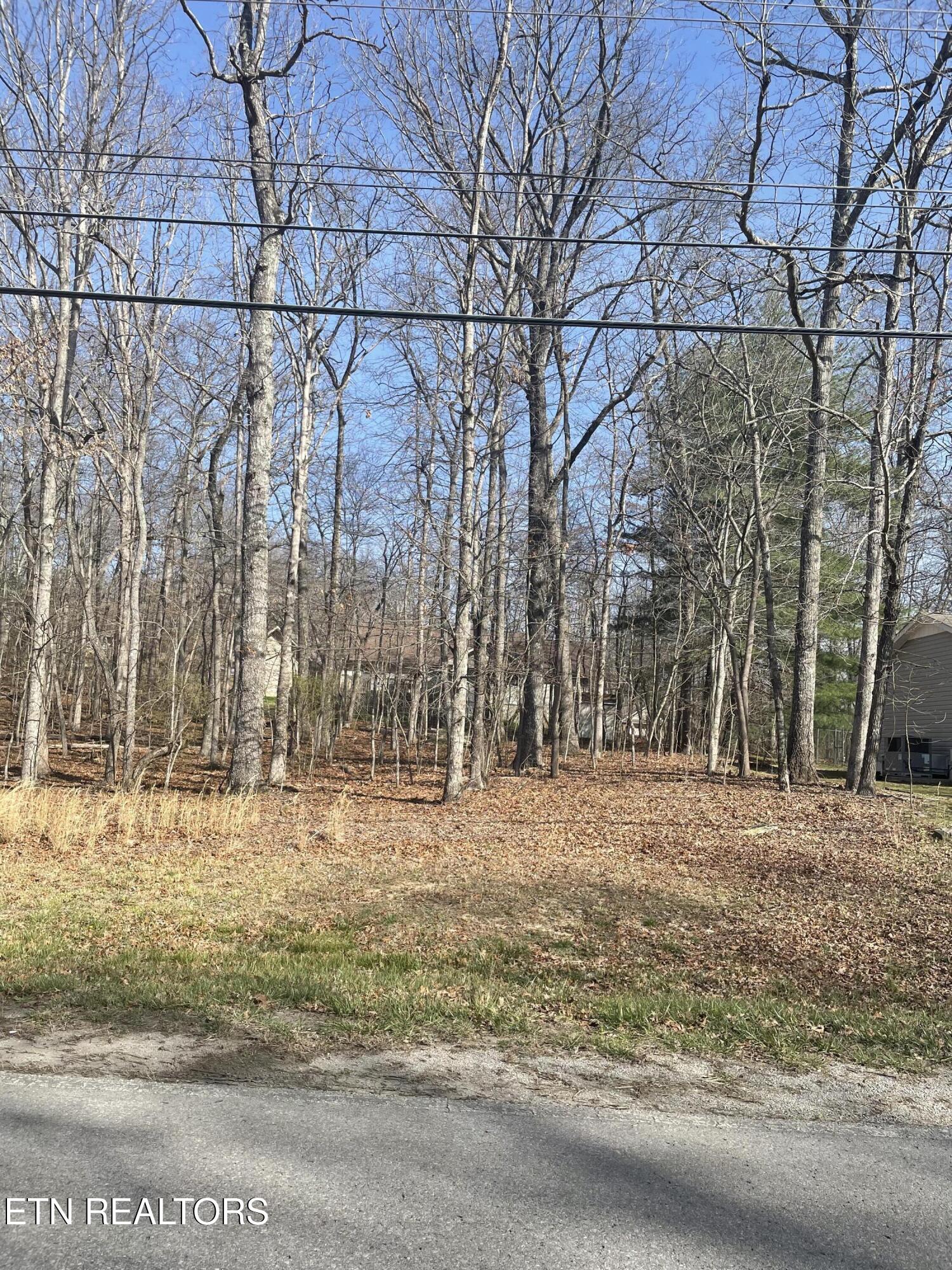 359 Lakeview lot front