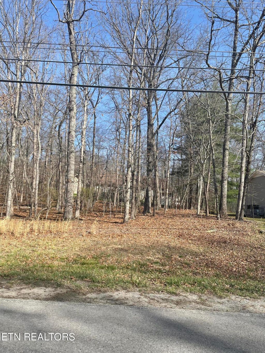 Photo of 359 Lakeview Drive, Crossville, TN 38558 (MLS # 1334090)