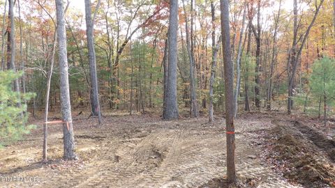 Tiny photo for 715 Westchester Drive, Crossville, TN 38558 (MLS # 1319408)