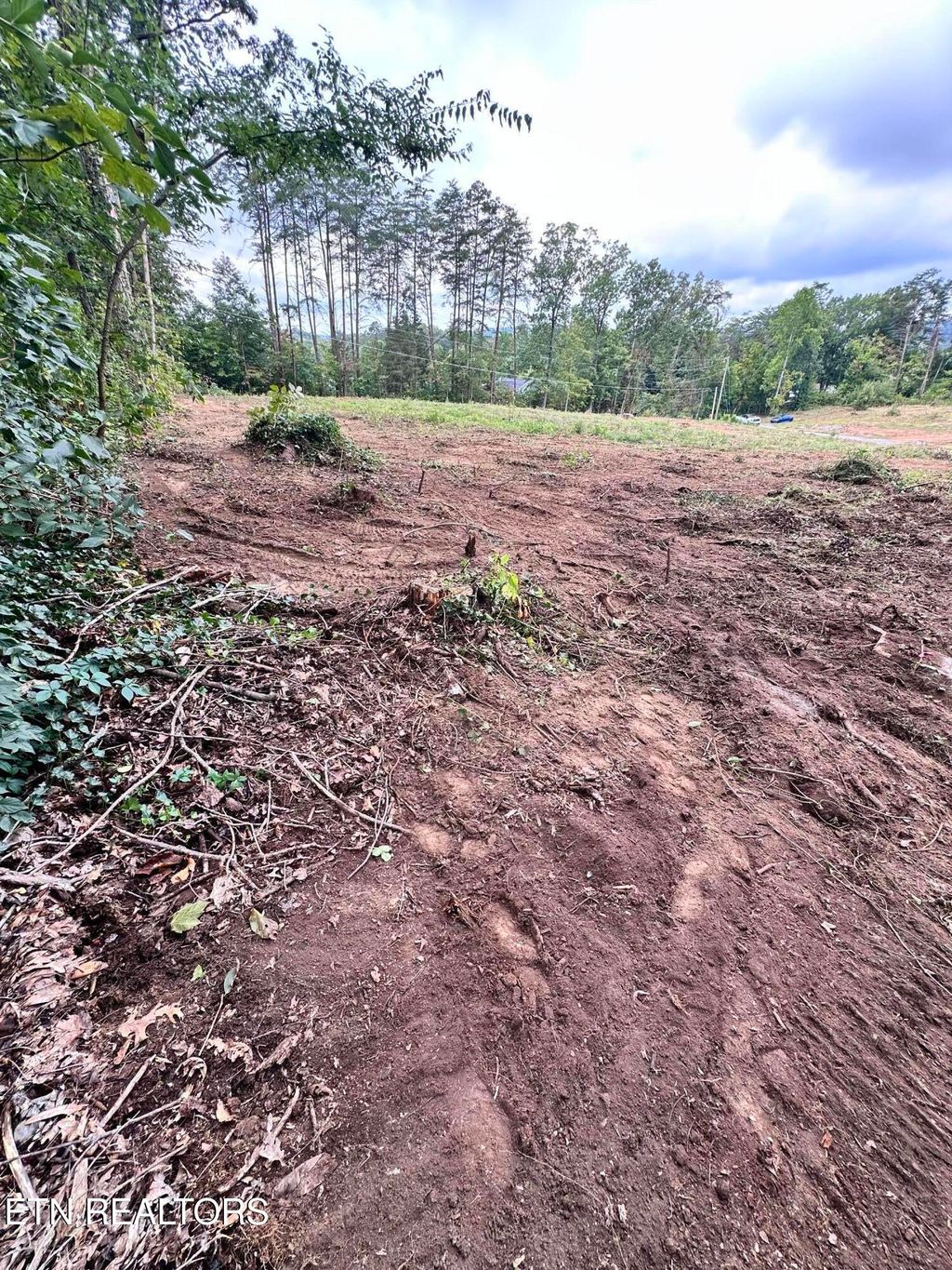 Photo of 1554 Hall Acres Drive, Knoxville, TN 37918 (MLS # 1326093)