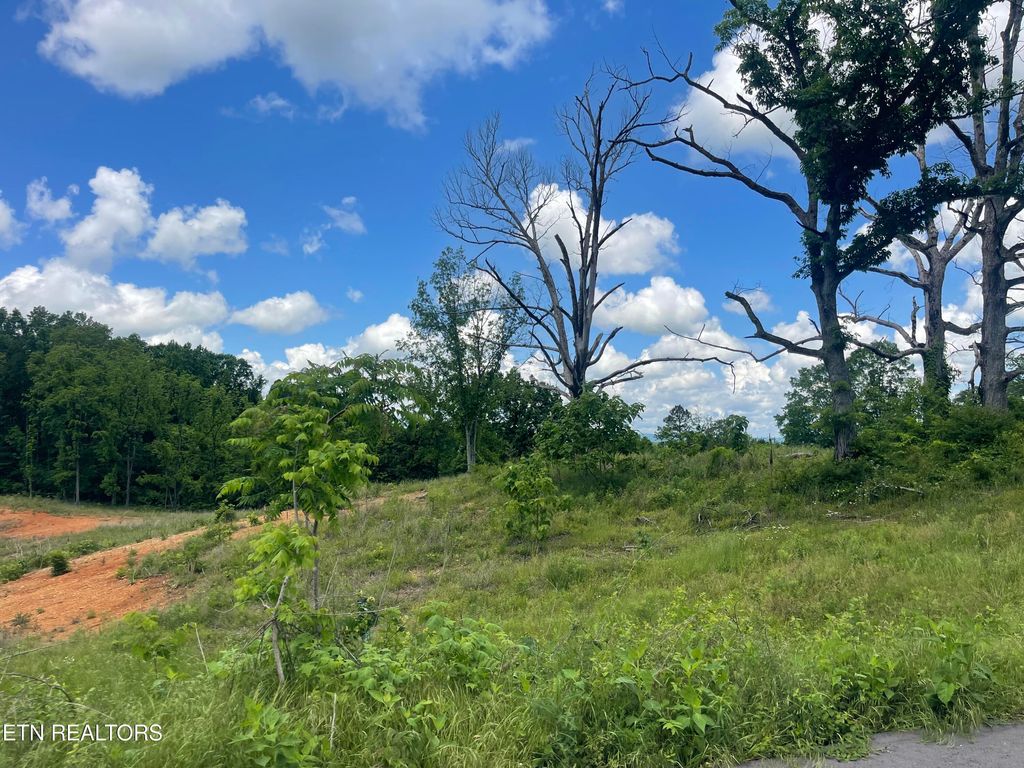 Photo of 11 Laura Boling Loop Rd, Strawberry Plains, TN 37871 (MLS # 1300699)
