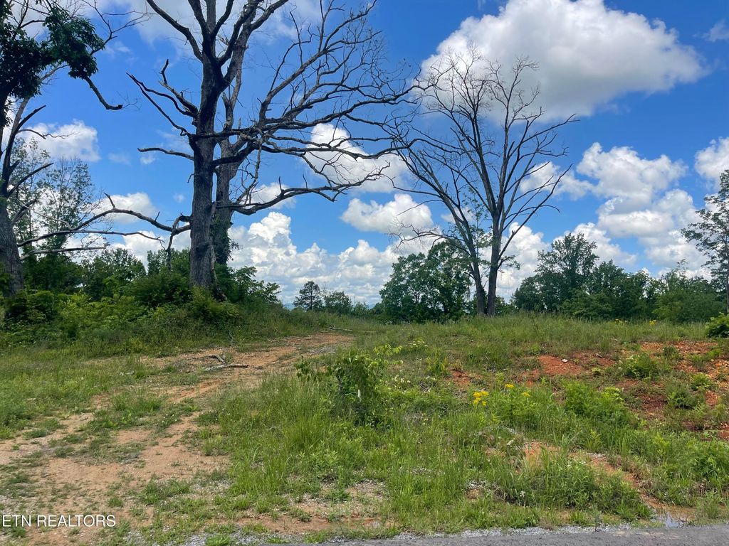 Photo of 11 Laura Boling Loop Rd, Strawberry Plains, TN 37871 (MLS # 1300699)
