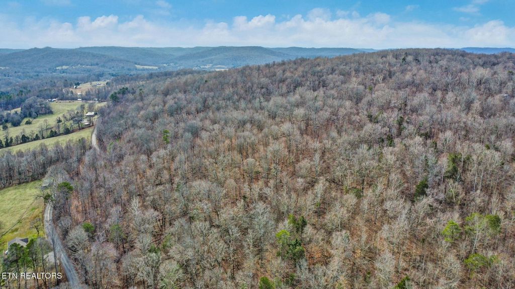Photo of Shellotte Loop, Pall Mall, TN 38577 (MLS # 1324540)