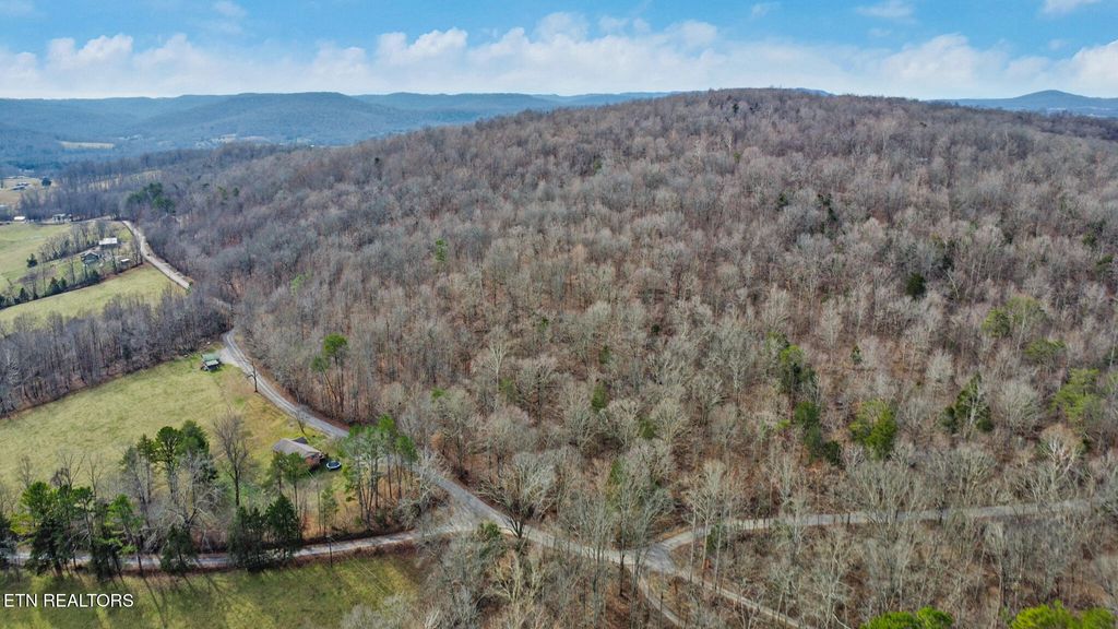 Photo of Shellotte Loop, Pall Mall, TN 38577 (MLS # 1324540)