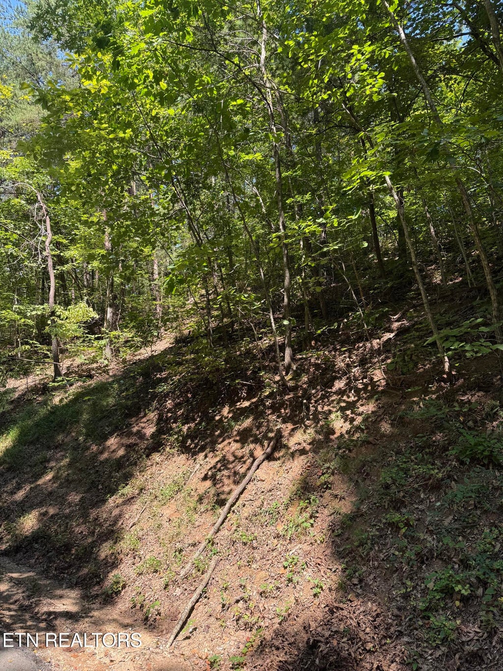Photo of Progress Hill, Pigeon Forge, TN 37863 (MLS # 1356751)